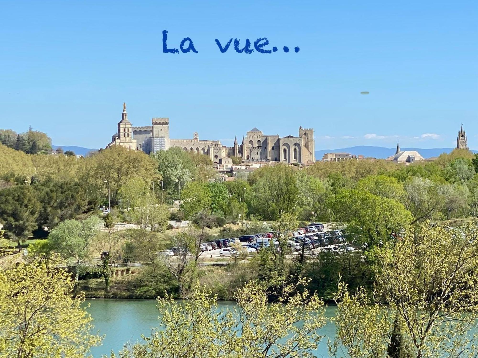 Duplex Face Au Palais Des Papes Lägenhet Villeneuve-lès-Avignon Exteriör bild